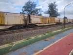 ELBR FTT-032202-4